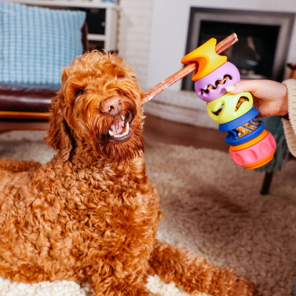 Dog playing with a colorful toy indoors
