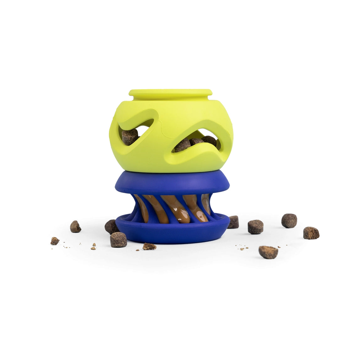 Pet toy with a green top and blue base, surrounded by scattered treats on a white background