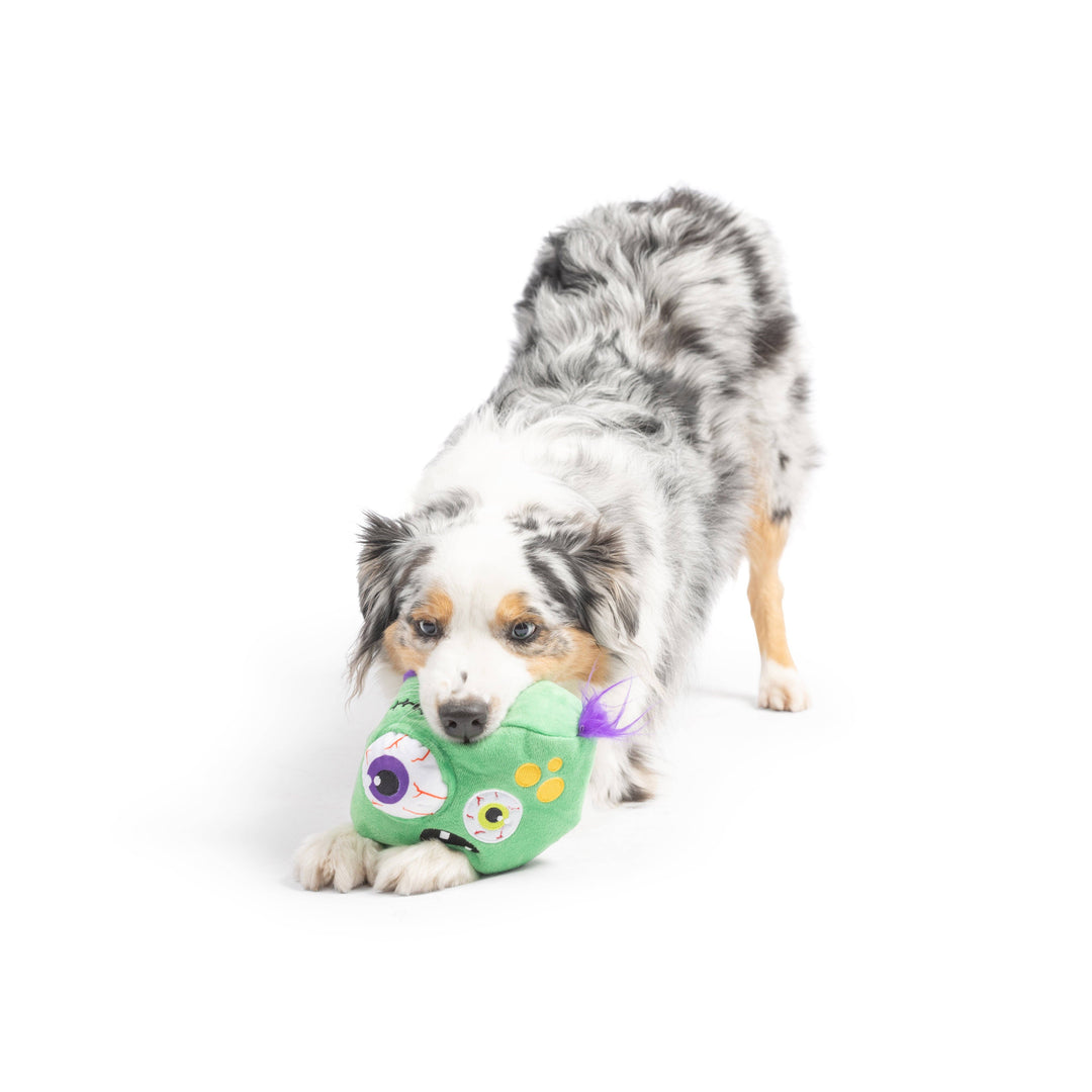 Dog bending down to play with the green Huxley & Kent PowerPlush Zombie toy on a white background.
