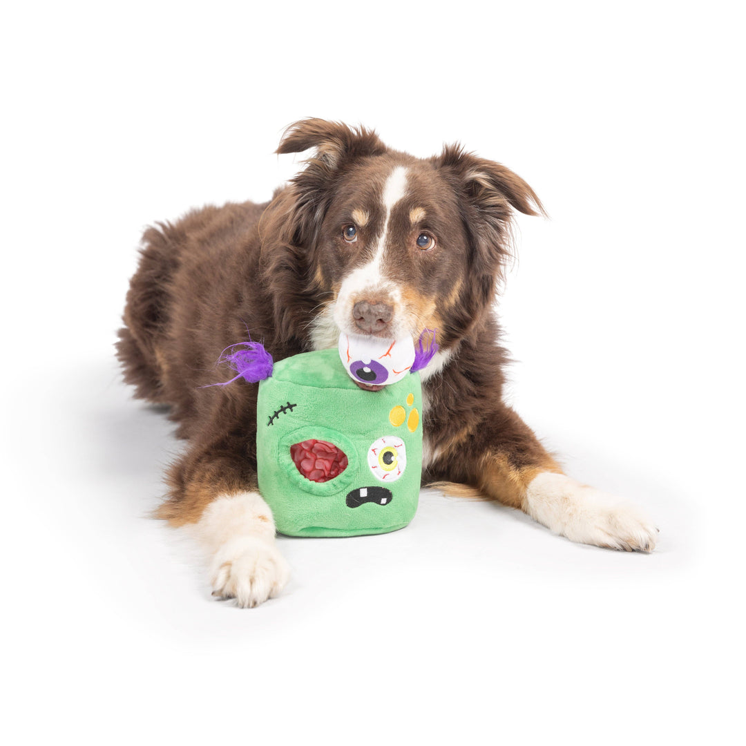 Border Collie lying down with the Huxley & Kent PowerPlush Zombie dog toy between its paws.