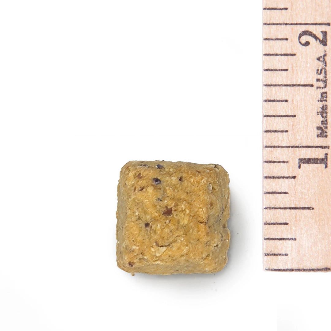 Square-shaped yellowish-brown object next to a wooden ruler on a white background
