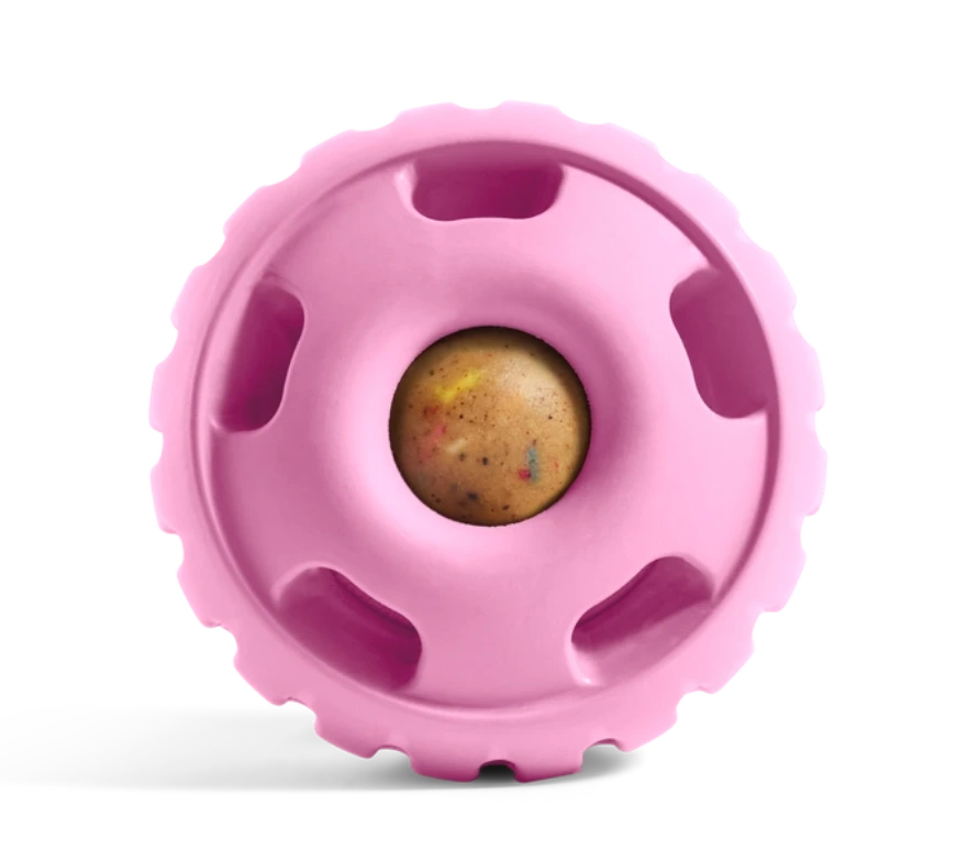 Pupsicle Pink for dogs
