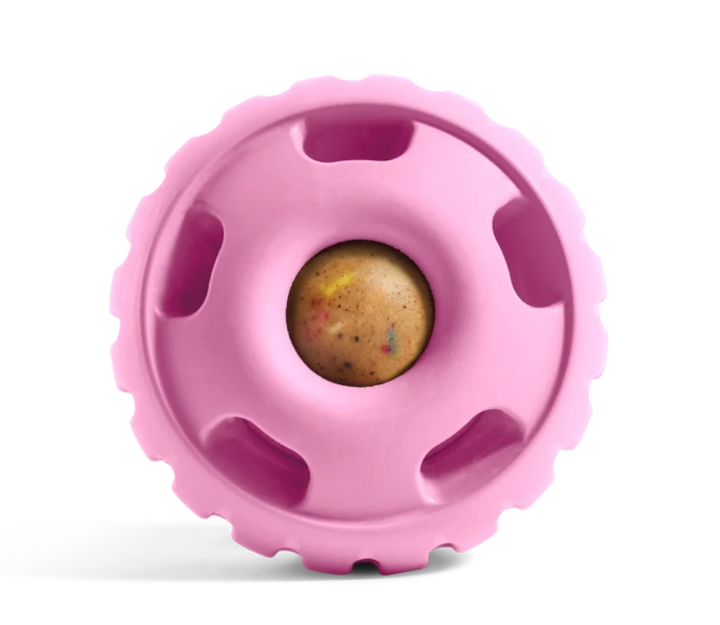 Pupsicle Pink for dogs