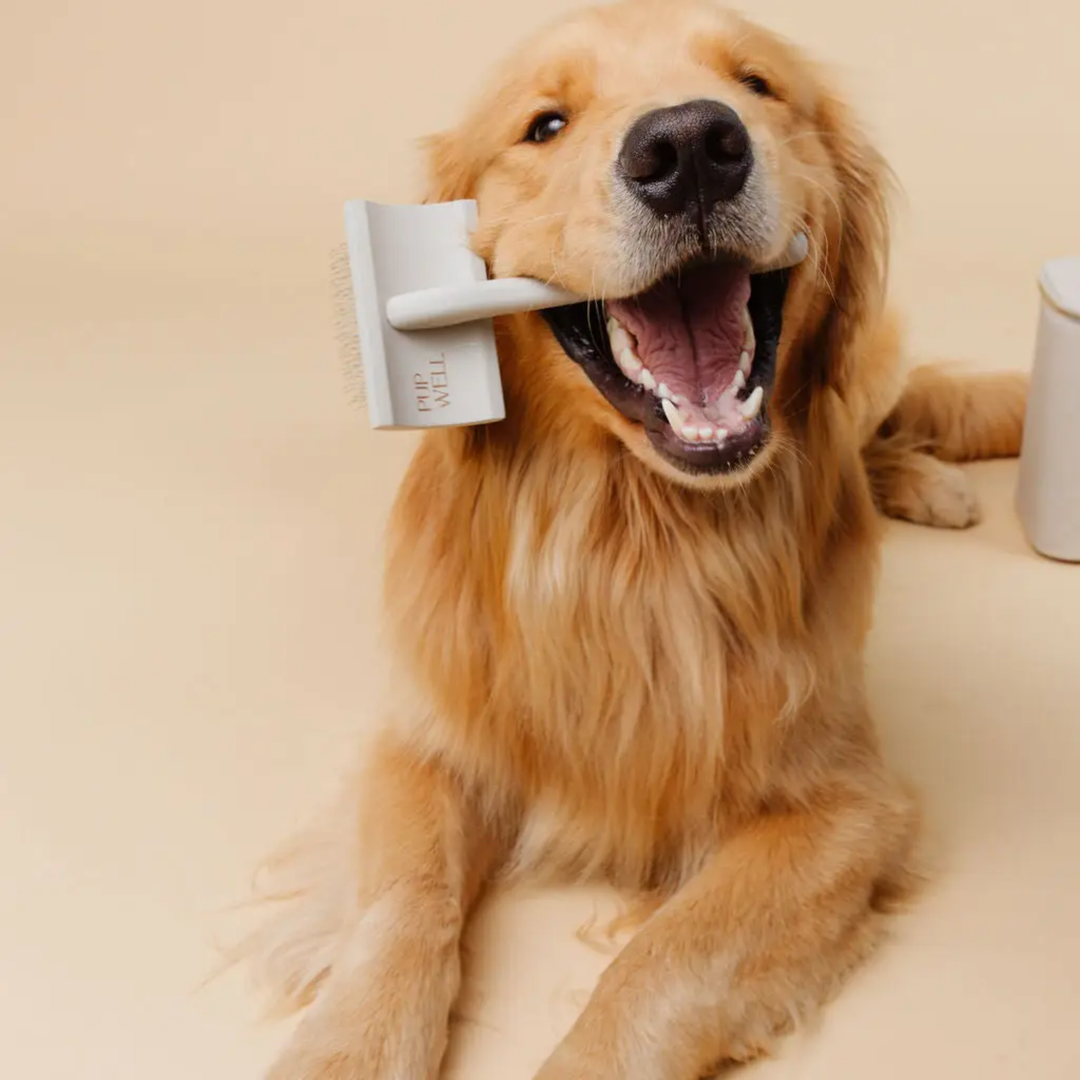 Dog holding a pupwell slicker brush branding on a beige background