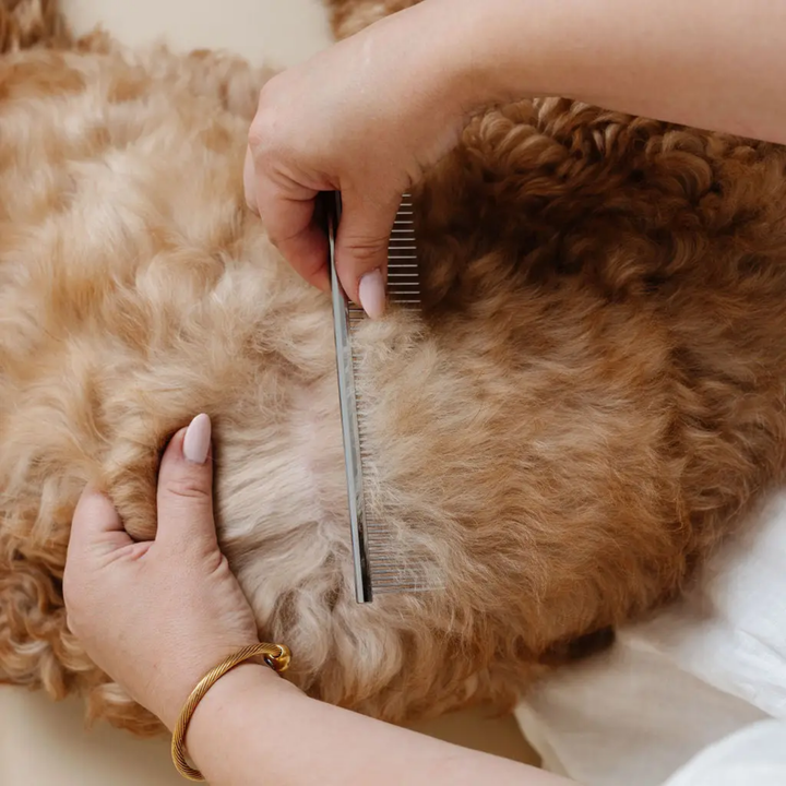 Person grooming a dog with a comb on a light background