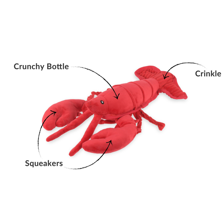 Red plush lobster toy with labeled features on a white background