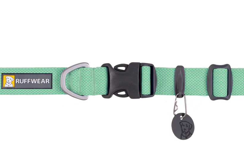 sage green collar
