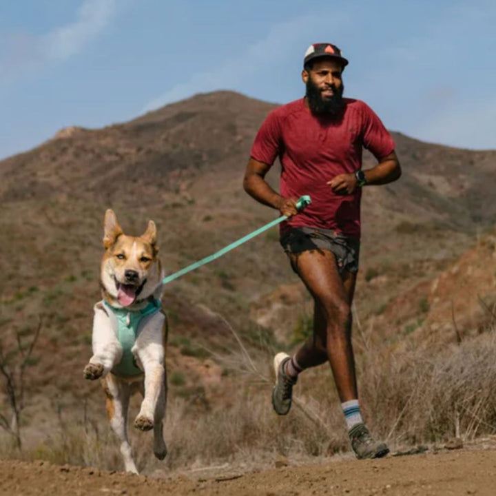 Man running with a dog on a leash in a desert landscape