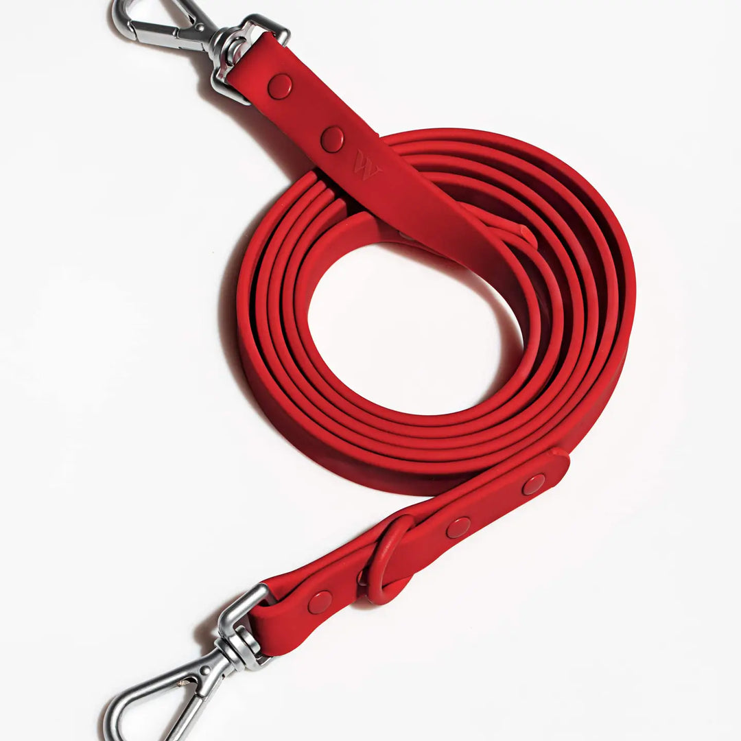 Red dog leash with silver clip on a white background