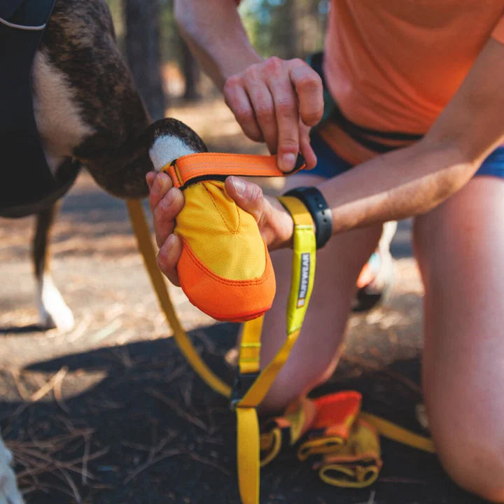 Person adjusting a dog's boots outdoors with a dog standing nearby.