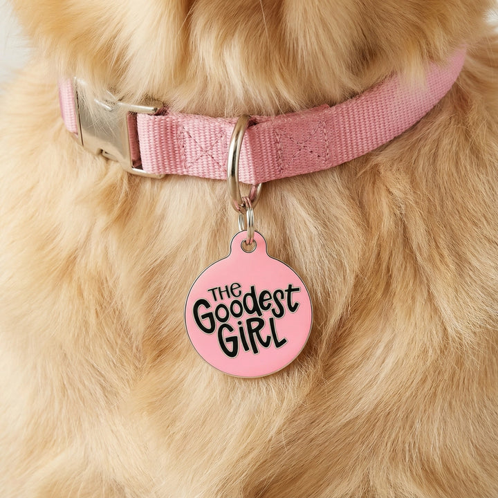 Dog collar with a pink tag reading 'The Goodest Girl' on a fluffy beige dog.