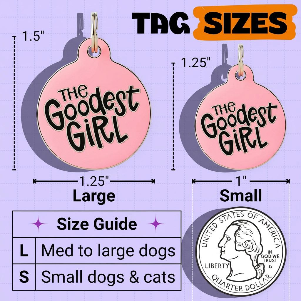 Pet tag with 'The Goodest Girl' text, size guide, and quarter for scale on a purple background