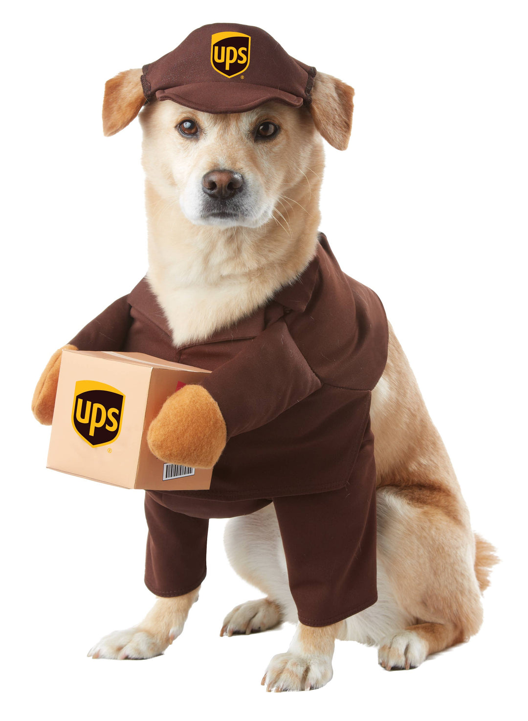 UPS dog costume