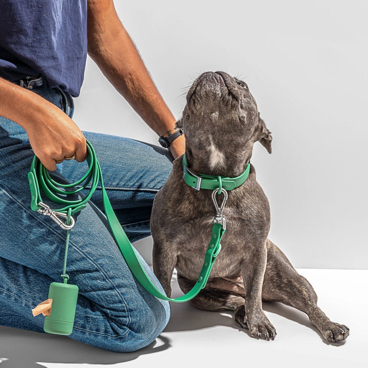 Person kneeling with a dog wearing a green collar and leash on a plain background