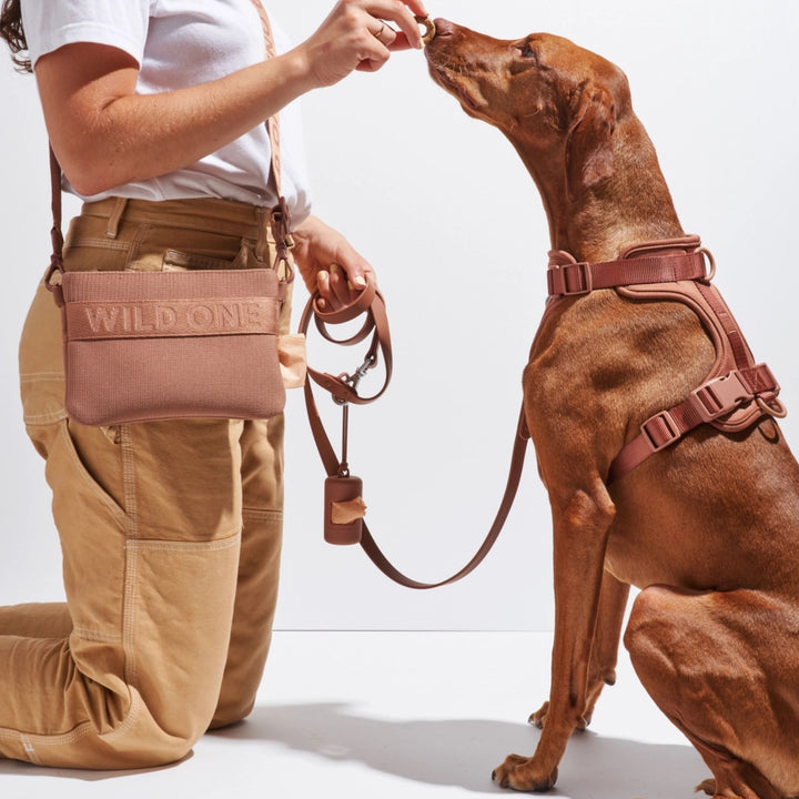 Person kneeling with a dog wearing a matching harness and leash, both labeled 'Wild One'.