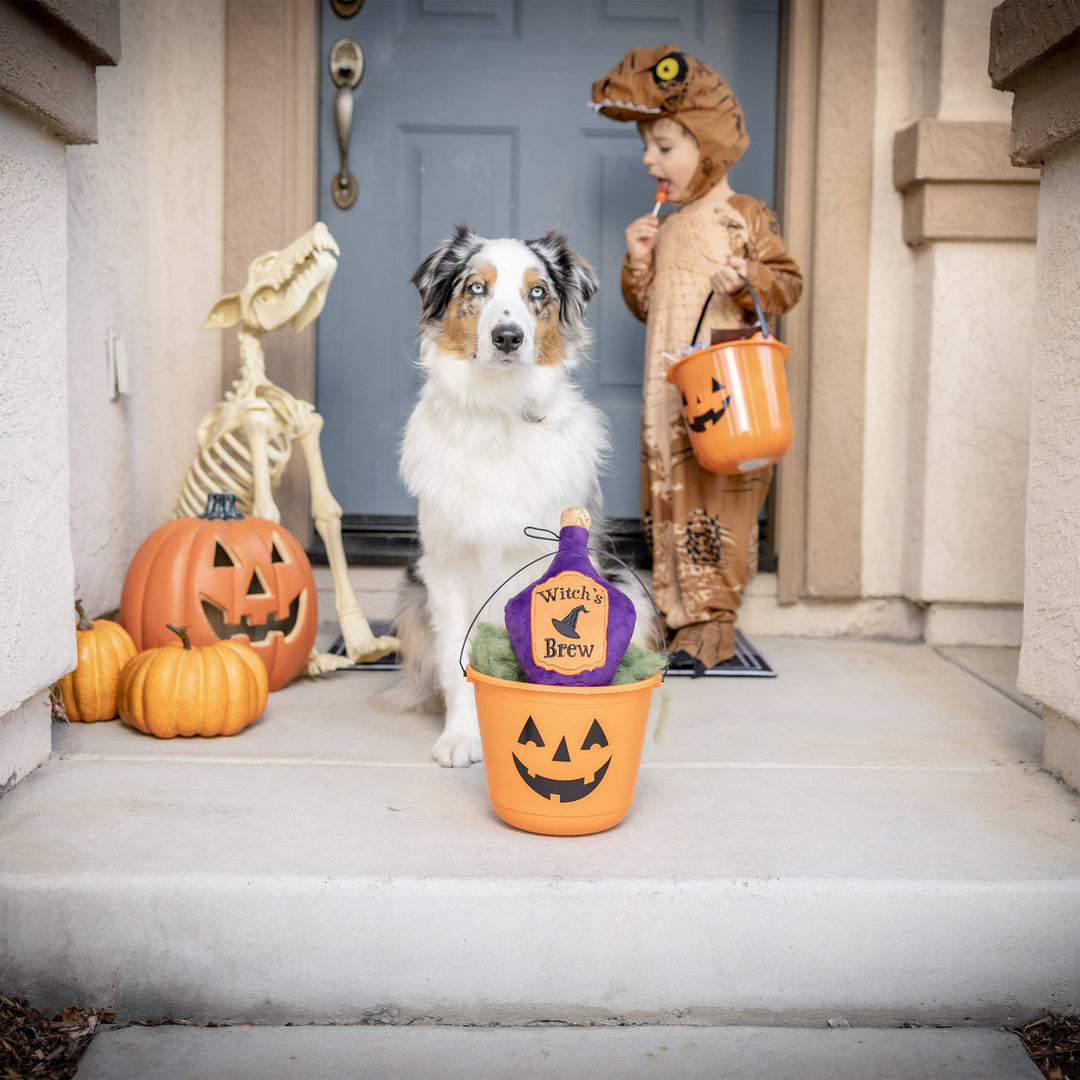 Huxley & Kent Witch’s Brew dog toy displayed in a pumpkin bucket beside a dog and child in a Halloween porch scene.