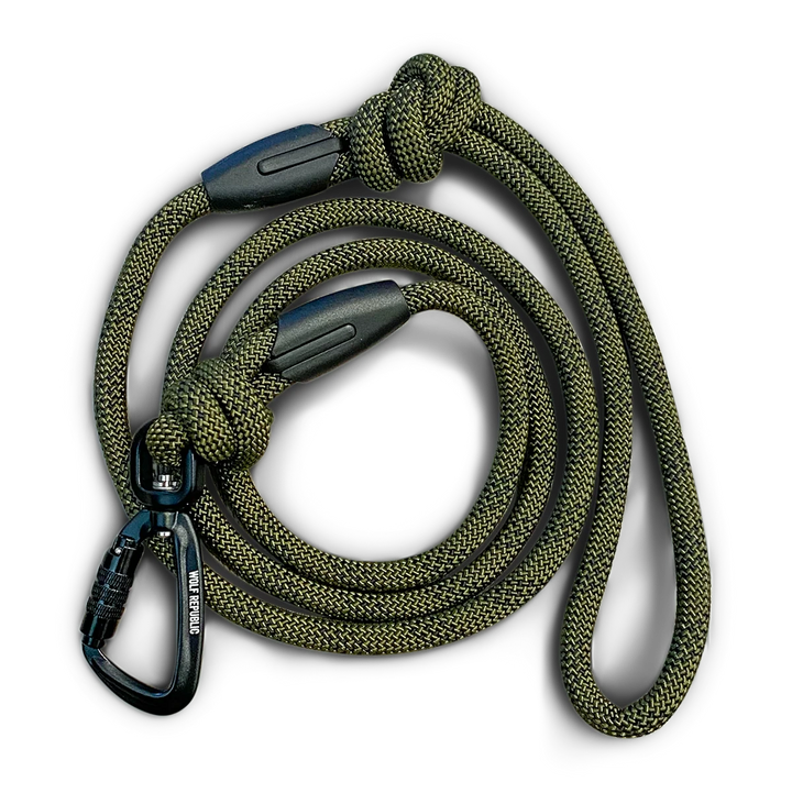 Green rope dog leash with carabiners on a white background