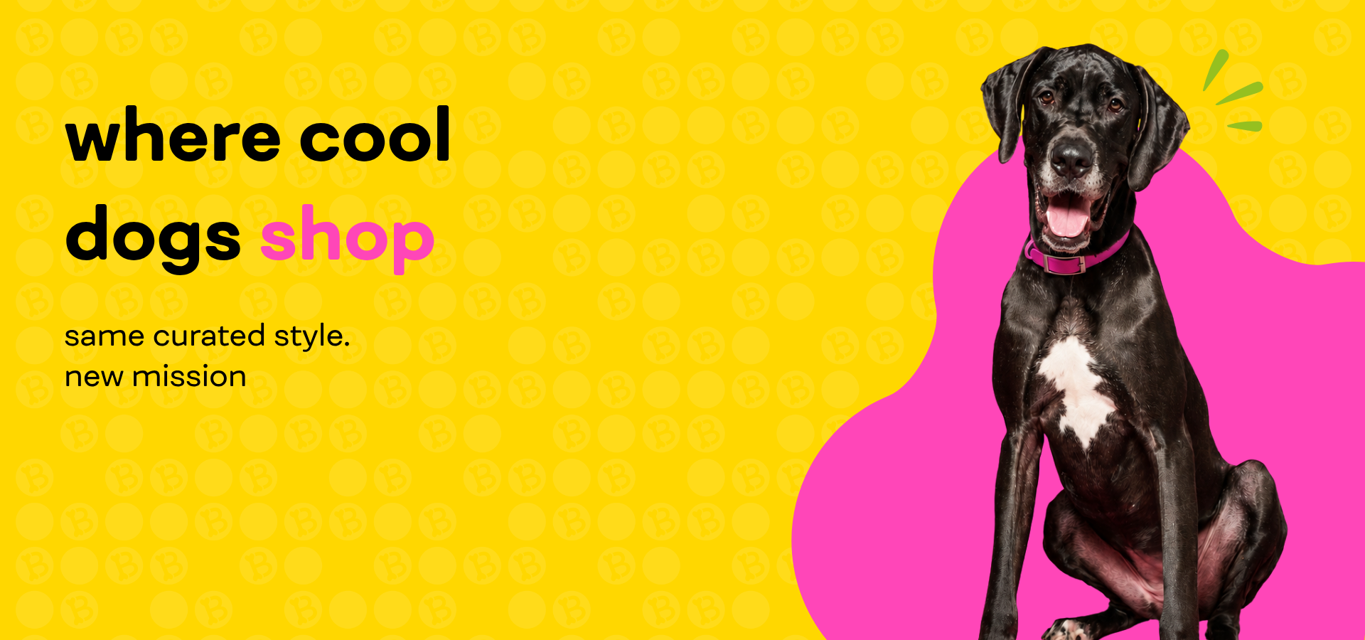 Dog sitting on a pink and yellow background with text 'where cool dogs shop'.