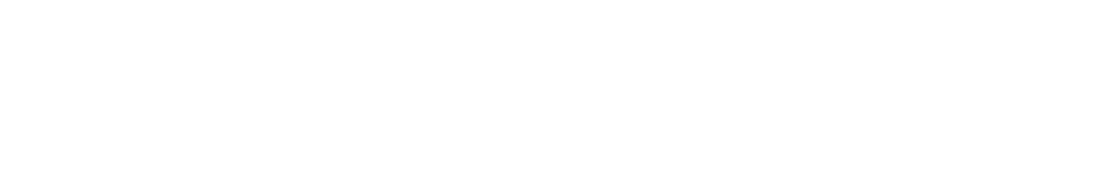 logo with a bone for the b