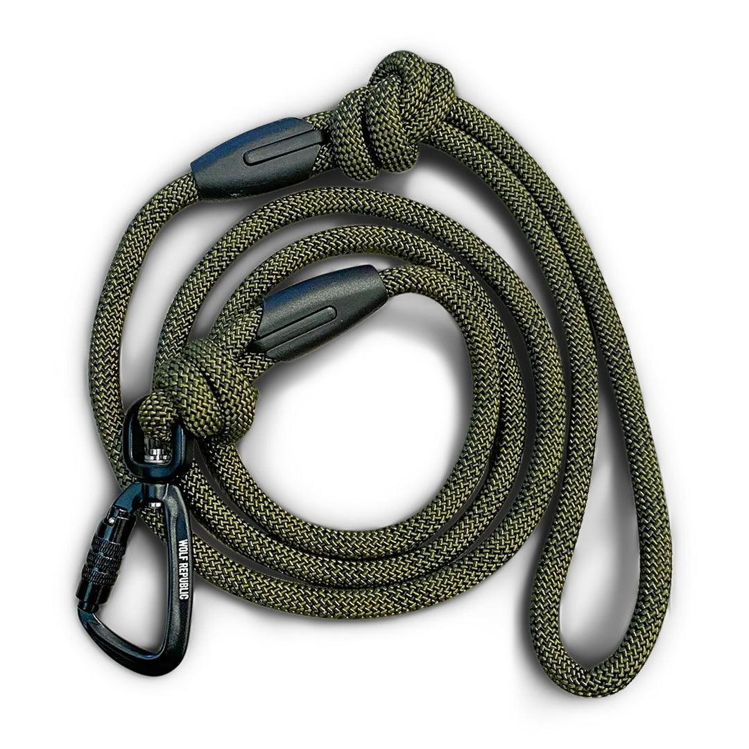 leash
