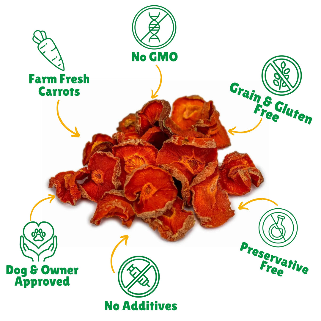 Dried carrots with health benefits icons on a white background