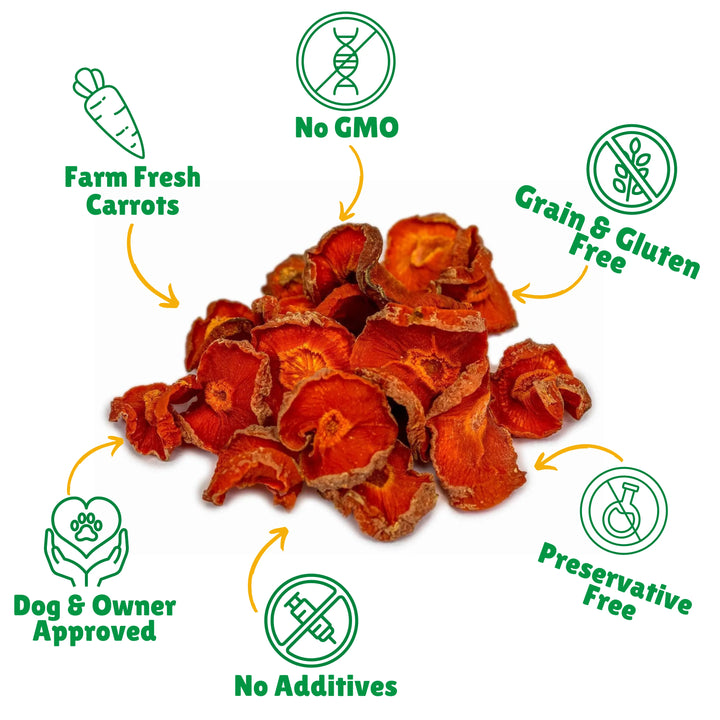 Dried carrots with health benefits icons on a white background