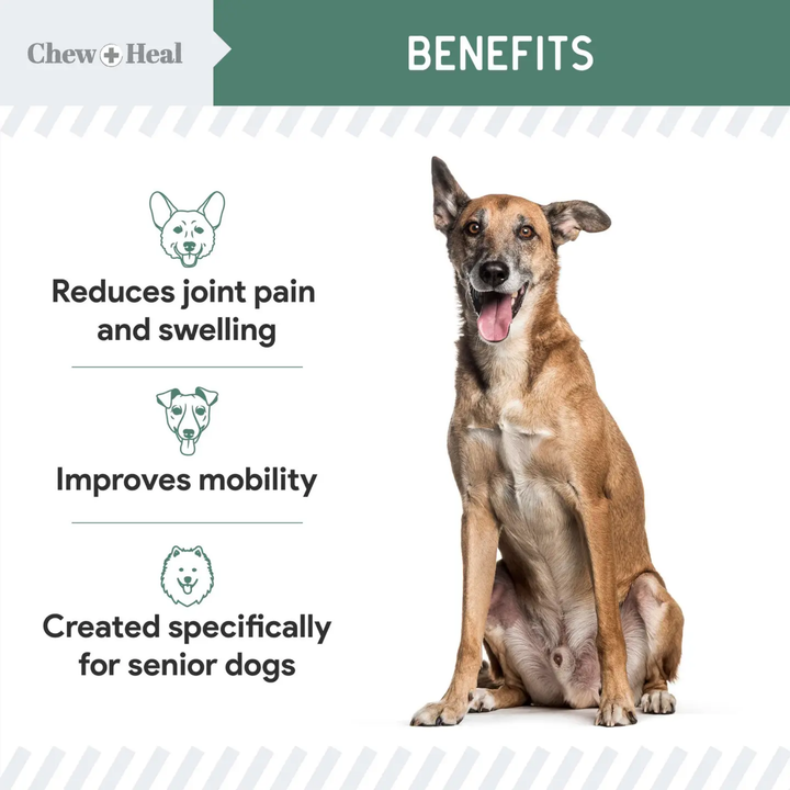 Dog sitting next to benefits text for a pet product on a white background