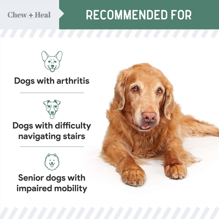 Dog with text indicating conditions it's recommended for, on a white background.