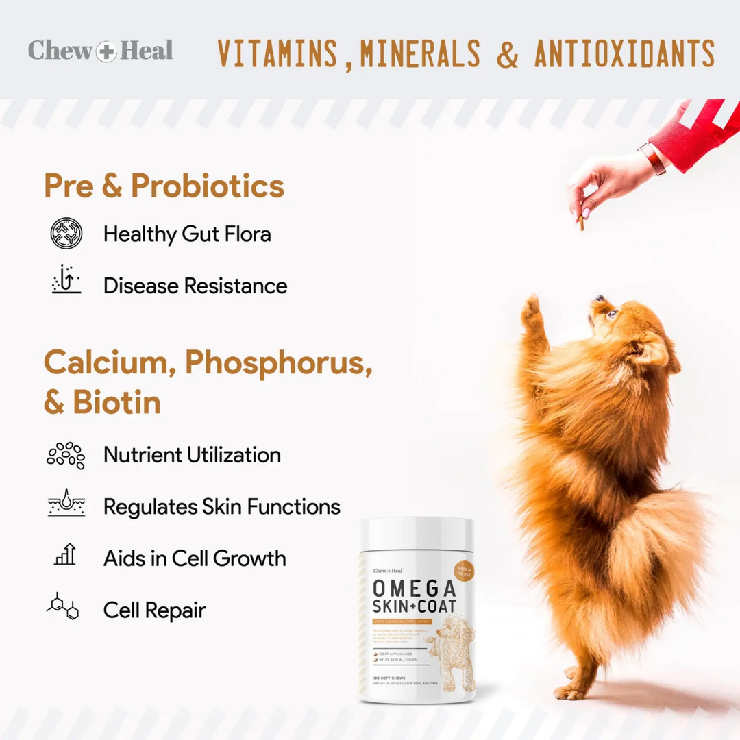 Advertisement for Omega Skin & Coat supplement with a dog and person interacting, featuring text about vitamins and supplements.
