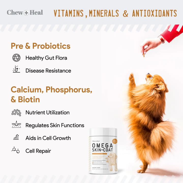 Advertisement for Omega Skin & Coat supplement with a dog and person interacting, featuring text about vitamins and supplements.