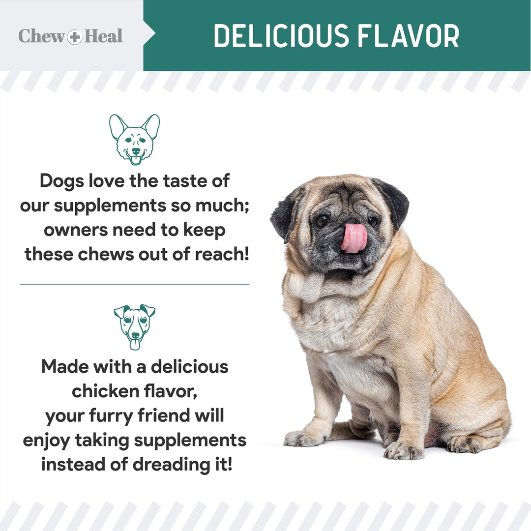 Dog sitting on a white background with text about dog supplements and a green banner at the top.