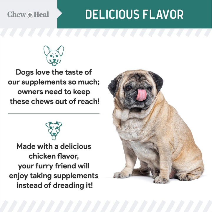 Dog sitting on a white background with text about dog supplements and a green banner at the top.