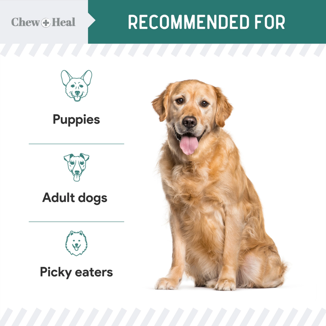 Dog sitting on a white background with text indicating recommended uses for the product.