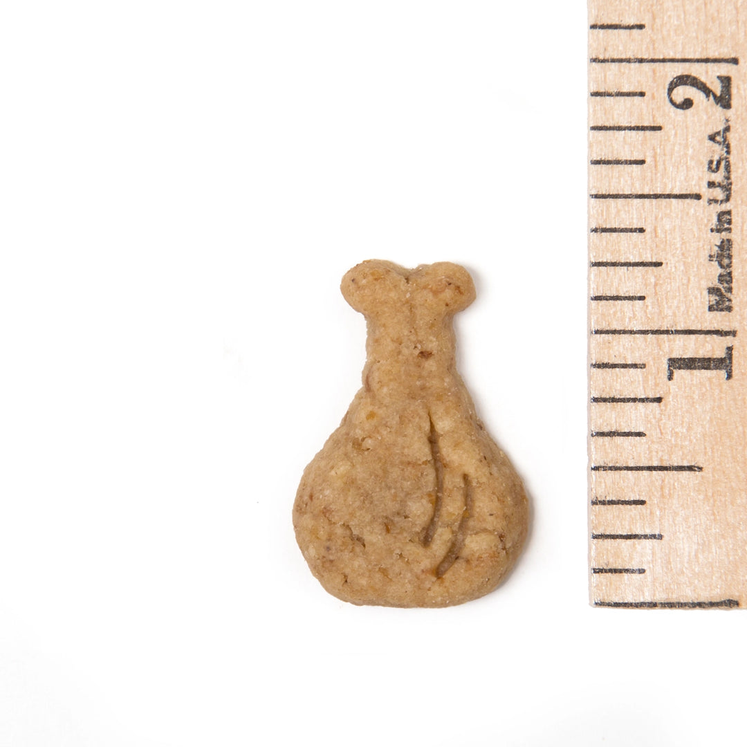 Dog treat shaped like a bone next to a ruler on a white background