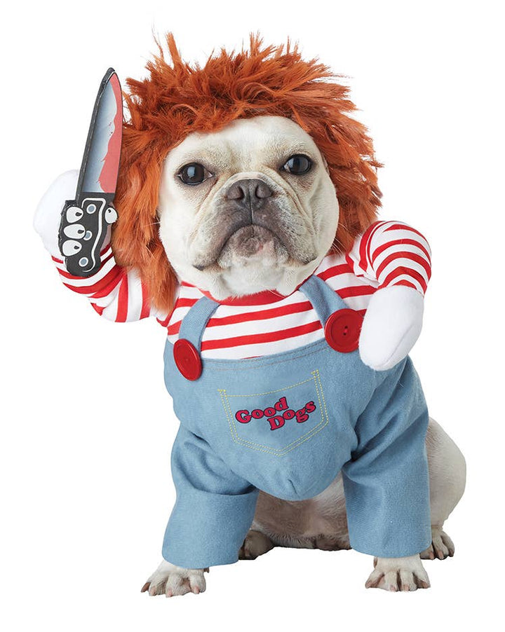 A small dog wearing a Chucky costume, featuring a red and white striped shirt, blue overalls, a red wig, and holding a toy knife, on a plain white background.