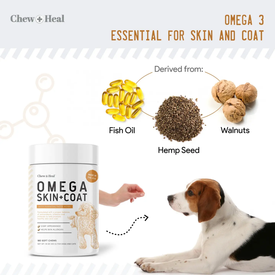 Dog supplement product with ingredients and benefits highlighted on a white background