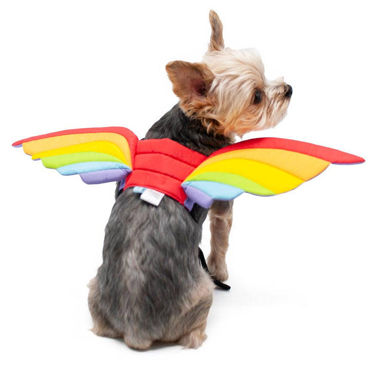 Dog wearing a colorful rainbow costume with wings on a white background