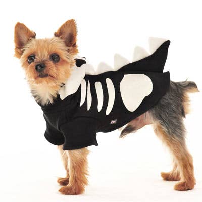 Dog wearing a black skeleton costume on a white background