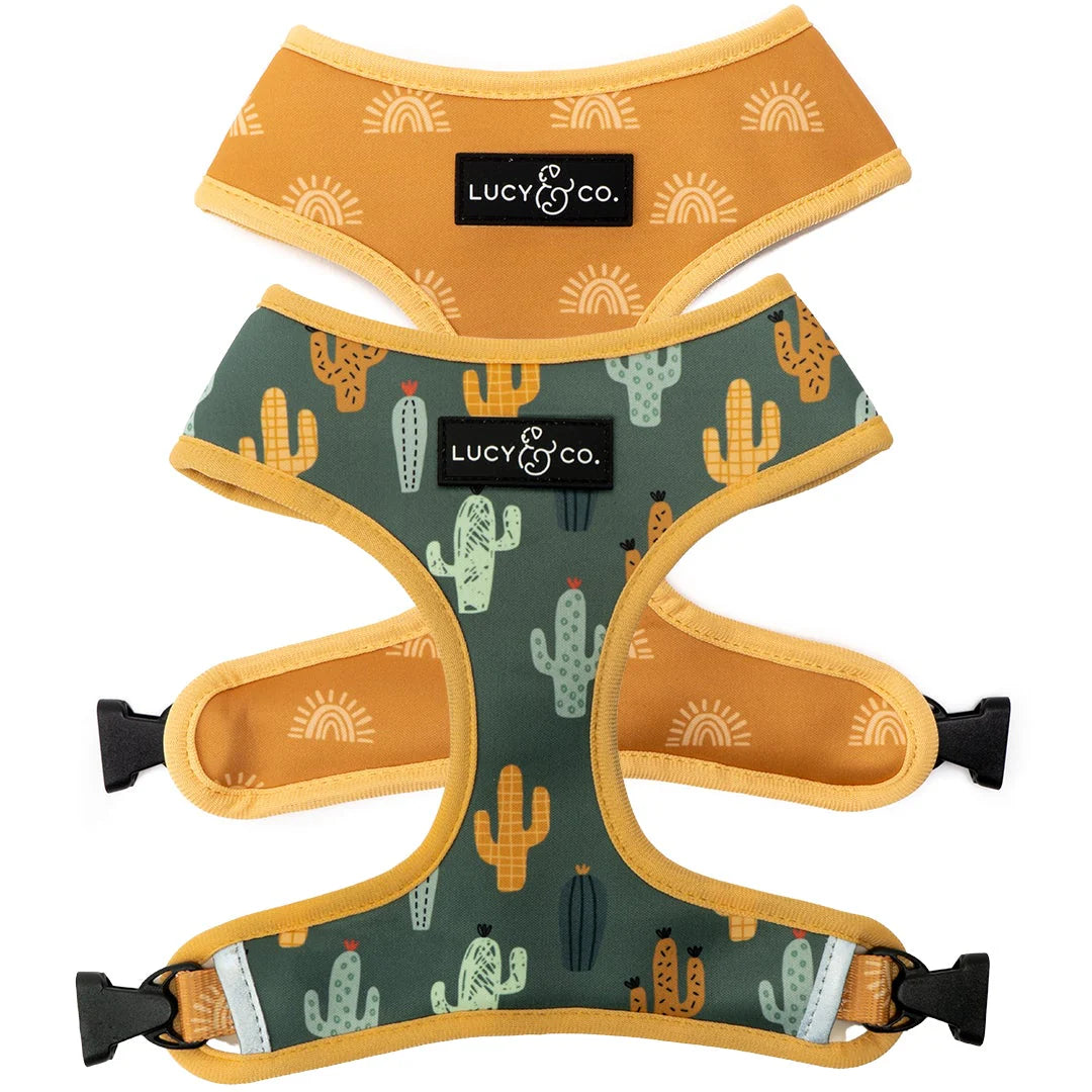 Two dog harnesses with cactus pattern and 'Lucy & Co.' branding on a white background