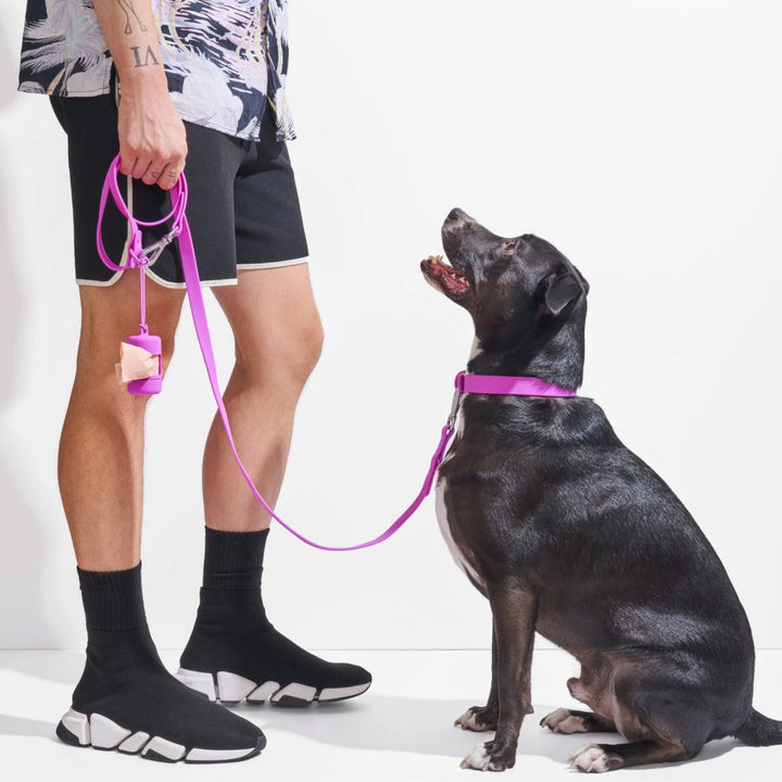 Person holding a pink dog leash with a black dog sitting on a white background