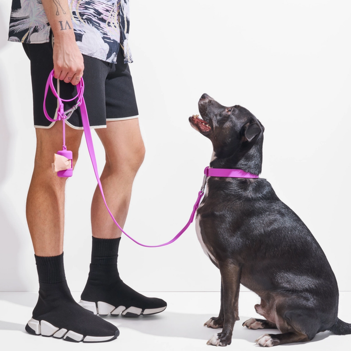 Person holding a pink dog leash with a dog sitting on a white background
